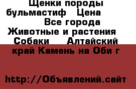 Щенки породы бульмастиф › Цена ­ 25 000 - Все города Животные и растения » Собаки   . Алтайский край,Камень-на-Оби г.